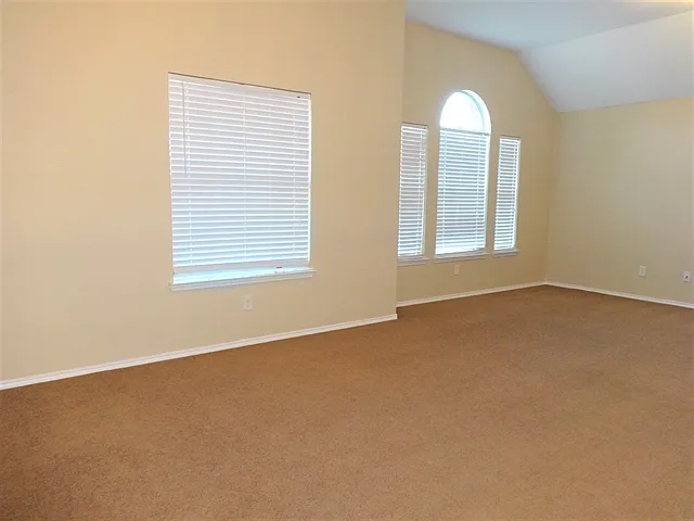 9501 Navarro St — Photo 11