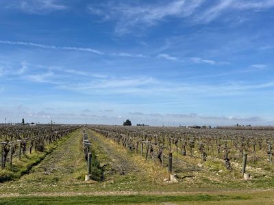 6455 Road 27 1/2, Madera, CA, 93637