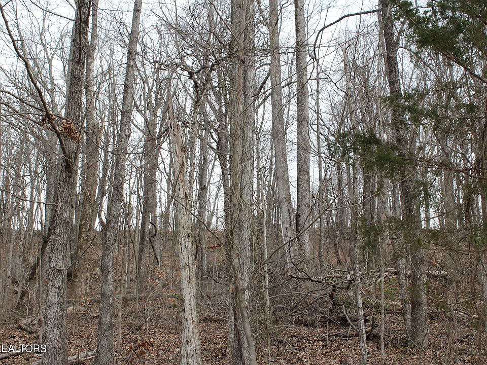 2nd image of Jean Ave