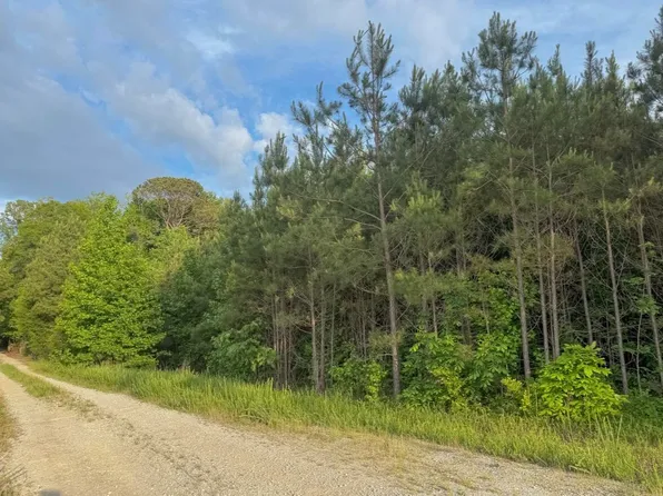 TRACT 2&3 Dry Branch Rd, Steens, MS 39766