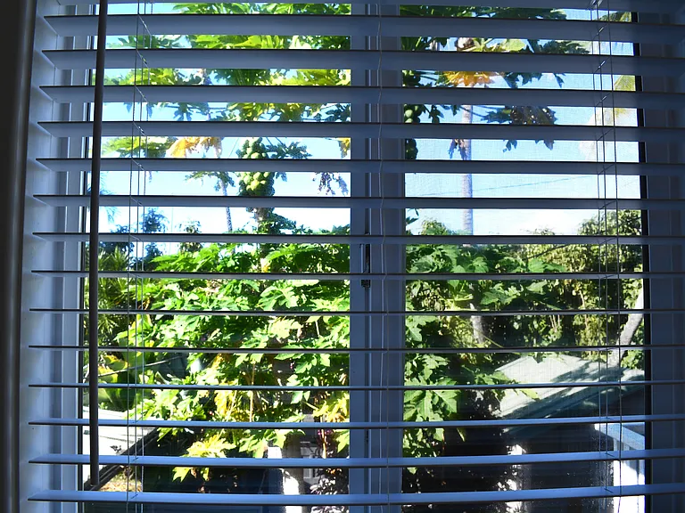 View from kitchen sink window.