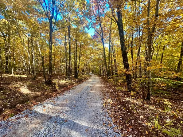 0 Nc #8801, Jasper, AR 72641