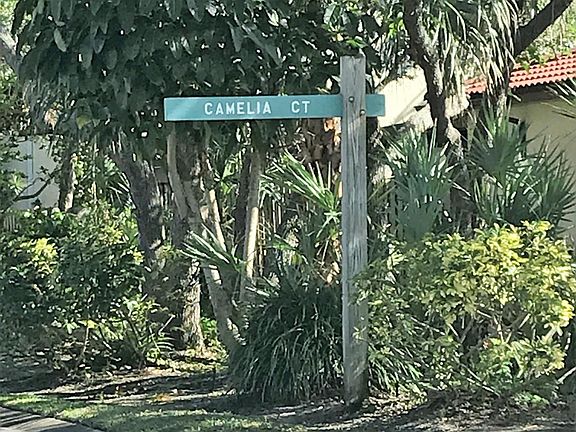 3rd image of 8710 Camelia Ct