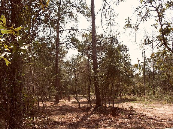 3rd image of LOT 141 Leisure Lakes Community