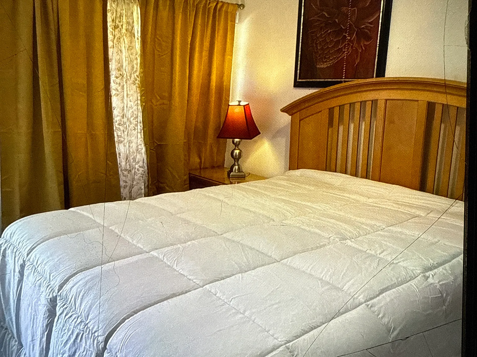Studio, $1,400 — Photo 2