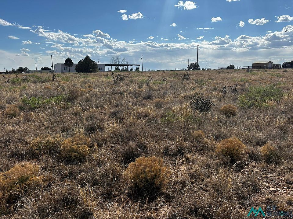 2nd image of State Route 203