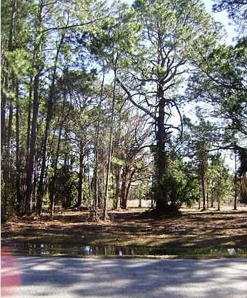 3rd image of 236 Boncycle Land Dr
