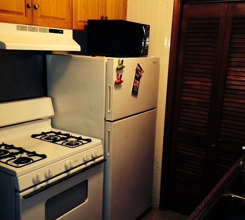 4th image of 1033 Packard St APT 1