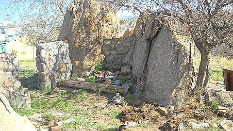 lower garden/back of pond