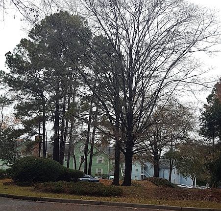 2nd image of 2011 Coldspring Dr #1006