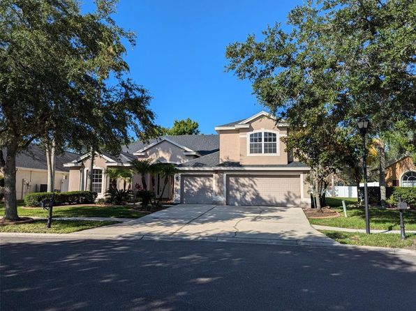 19116 Nature Palm Ln, Tampa, FL 33647