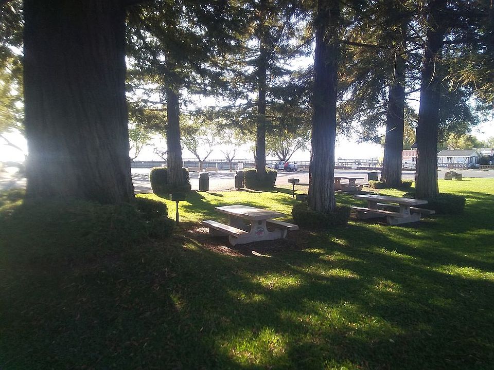 Nearby Redwoods Park, Lucerne