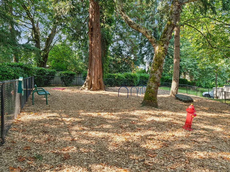 Skyline Redmond — Photo 29