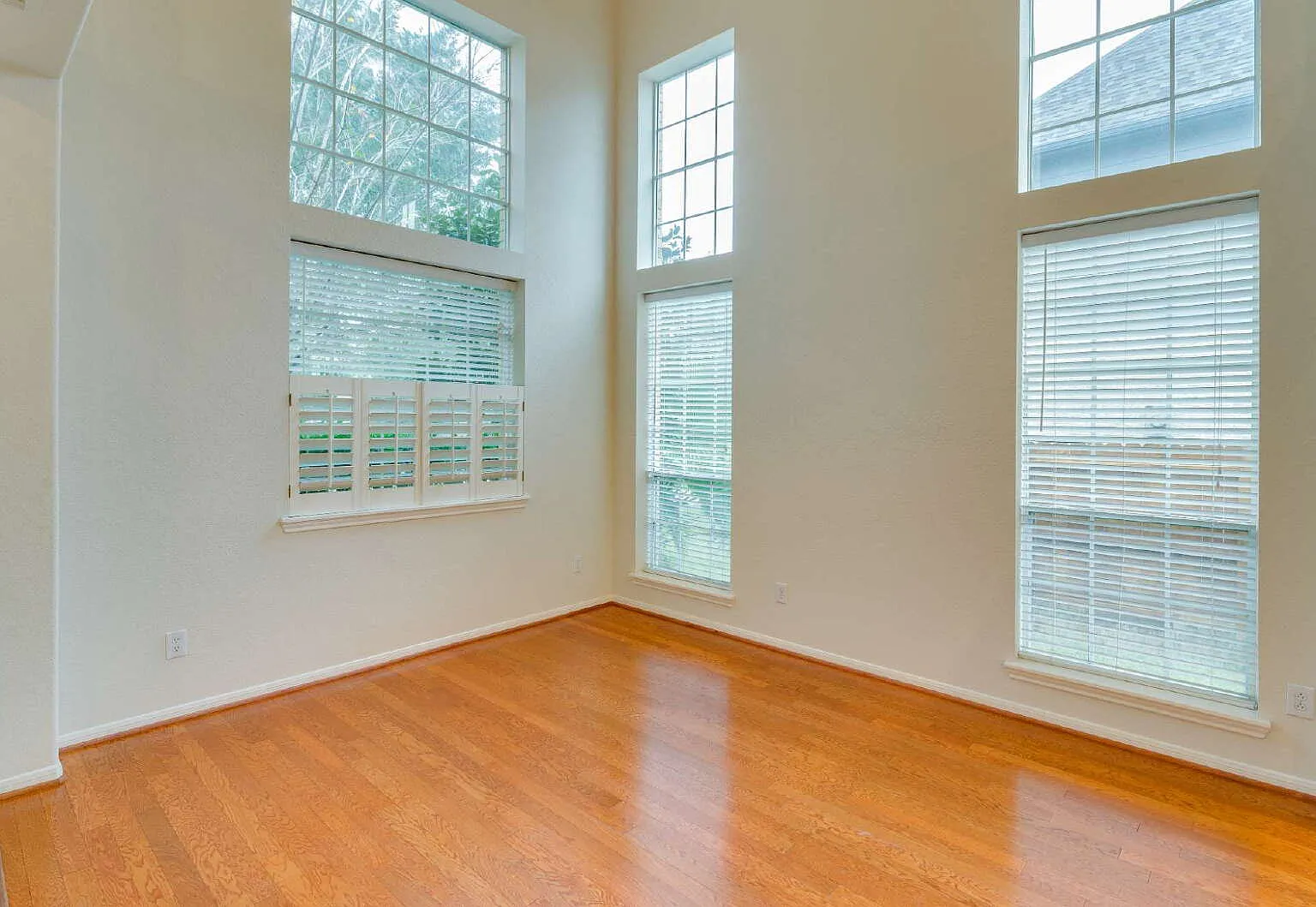 5 bed, 3.5 bath, 3997 sqft, $3,600 — Photo 3