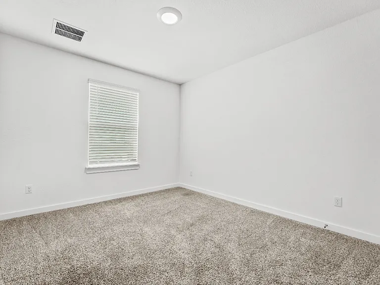 2505 Liam Aurora Ln — Photo 16
