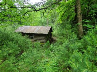 0 Spivey Mountain Rd, Erwin, TN 37650