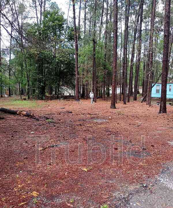 2nd image of 242 Bent Tree Cir