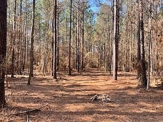 1st image of TRACT Big Lake Rd #A