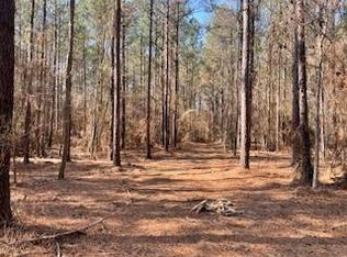 TRACT Big Lake Rd #A, Pineville, LA 71360
