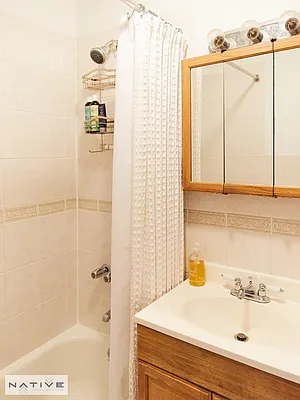 Rented by Native Real Estate LLC | media 12