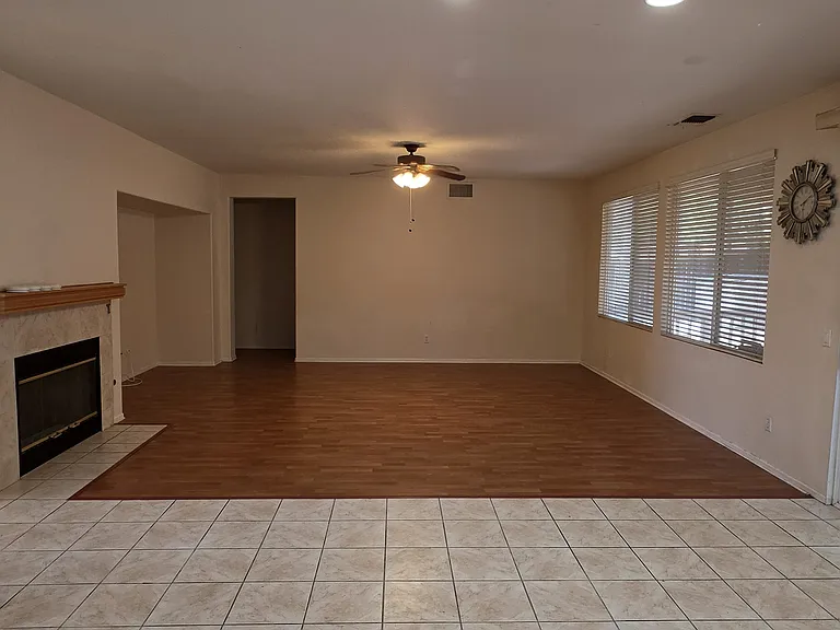 26232 Palm Tree Ln — Photo 7