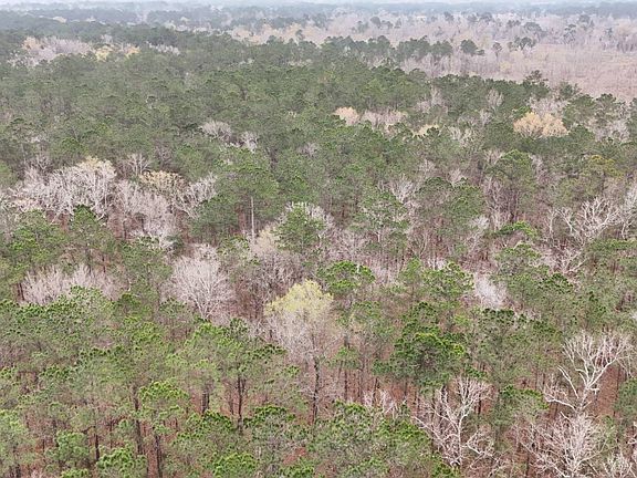 3rd image of 0 Gibson Loop