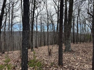 0 Nighthawk Rd LOT 9, Lynchburg, VA, 24504