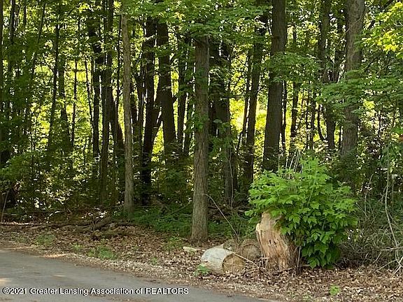 2nd image of 0 Outer Dr