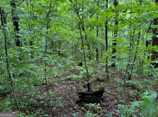 8 Black Bear Trl, Hiawassee, GA 30546