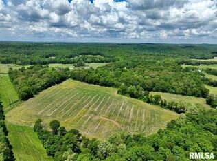 1 Pleasant Ridge Rd, Vienna, IL 62995