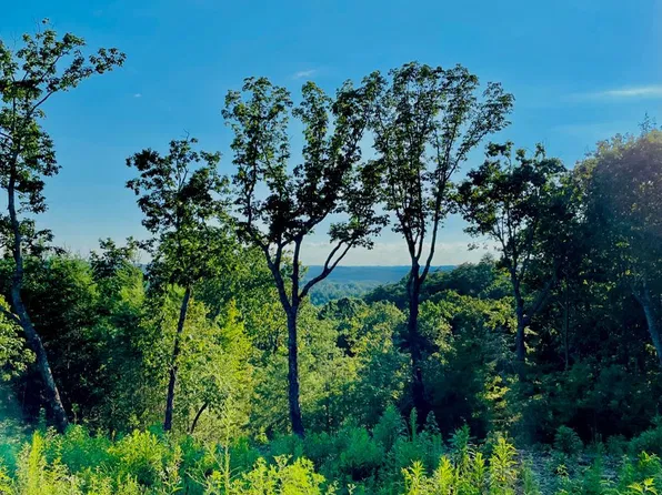 655 Lookout Valley Trl, Talking Rock, GA 30175