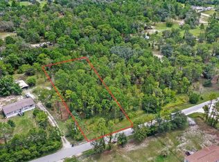 14361 Switch Back Rd LOT 222, Spring Hill, FL 34609