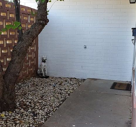 4th image of 1414 S Bonita Dr