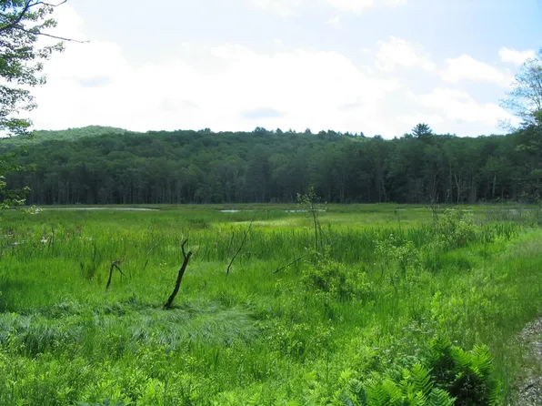 30 OLD STODDARD Road, Nelson, NH 03457