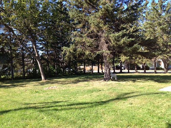 Wooded Lot