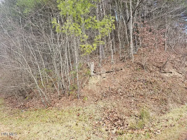 10402 Right Fork Rd, Pound, VA 24279