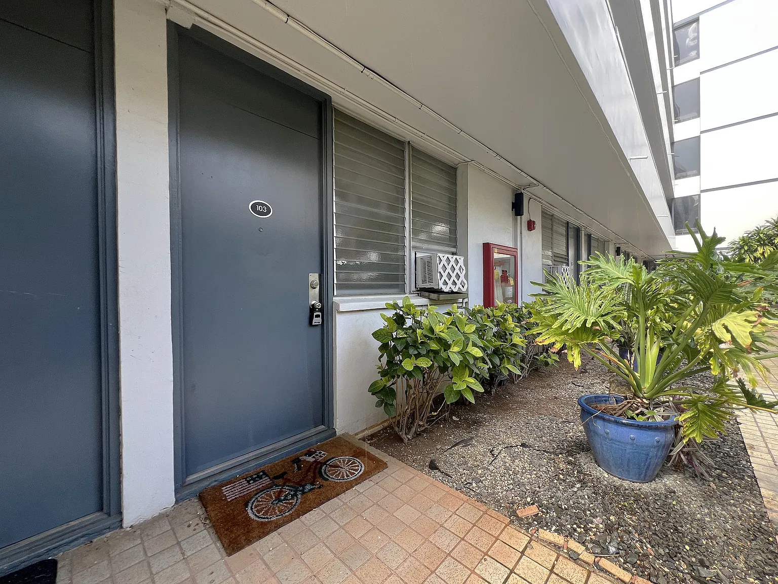 1 bed, 495 sqft, $1,975 — Photo 4