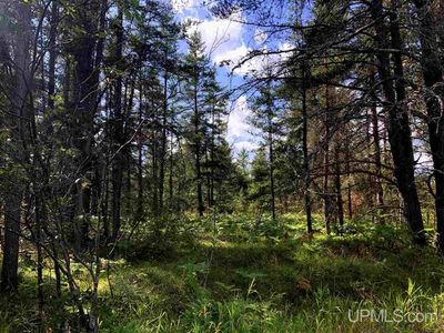 915 N Sporley Lake Rd, Gwinn, MI, 49841