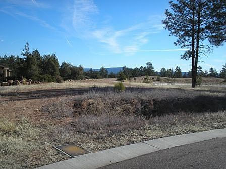 2nd image of 1713 E Velvet Mesquite Ct