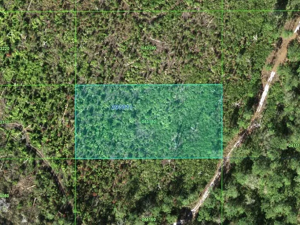 Tiger Crk, Lake Wales, FL 33898