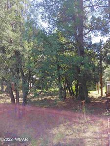 925 N 43rd Cul De Sak, Show Low, AZ, 85901