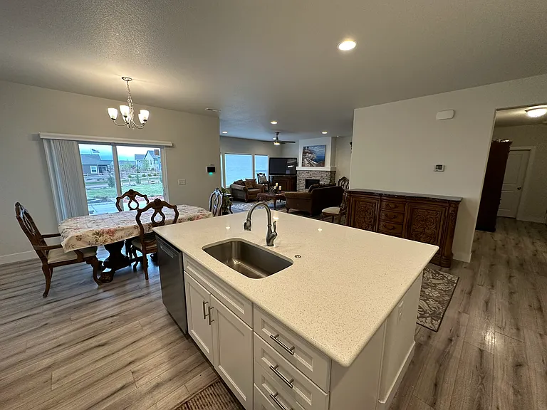 Quartz kitchen island with large sink and plank flooring