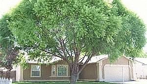 front of home