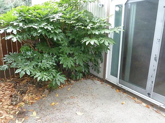 3rd image of 706 Oakdale Ave