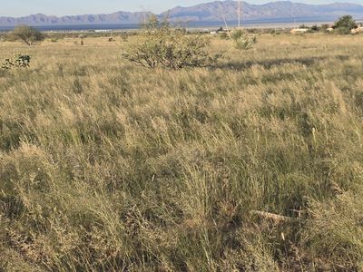 W Knox St #9, Pearce, AZ, 85625