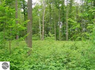 208 Hawks Eye Dr, Bellaire, MI 49615