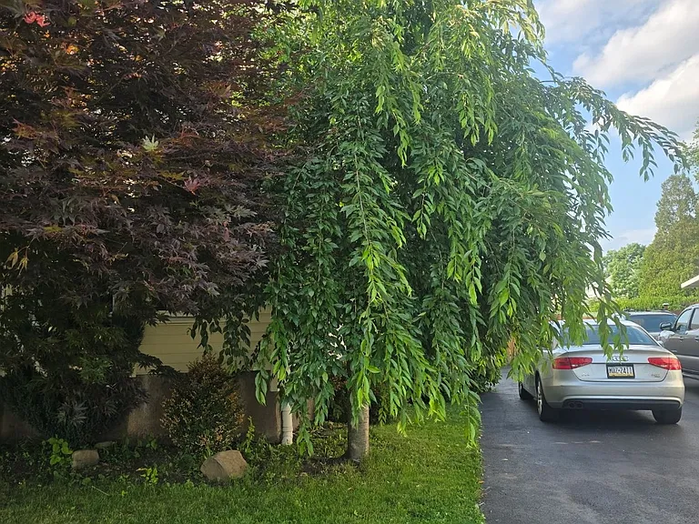 4 Miner St — Photo 24