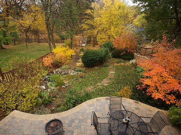 Back Yard in Fall