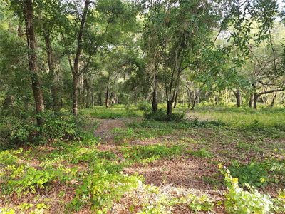 Lake Griffin Rd #5, Lady Lake, FL, 32159