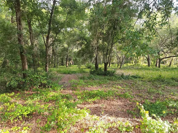 LAKE GRIFFIN ROAD #5, LADY LAKE, FL 32159